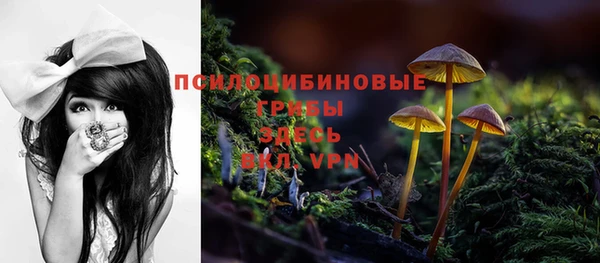 PSILOCYBIN Арсеньев